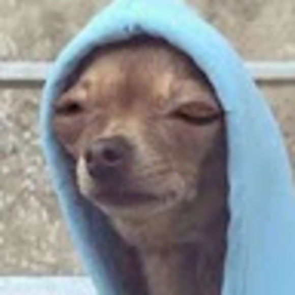 Meet your Posher, Victoria - Picture 1 of 1